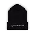 Big-Bang-Pixels-Beanie-Alpine-State-of-Mind-Black