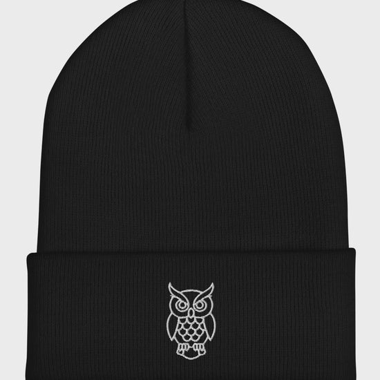Big-Bang-Pixels-Owl-Beanie