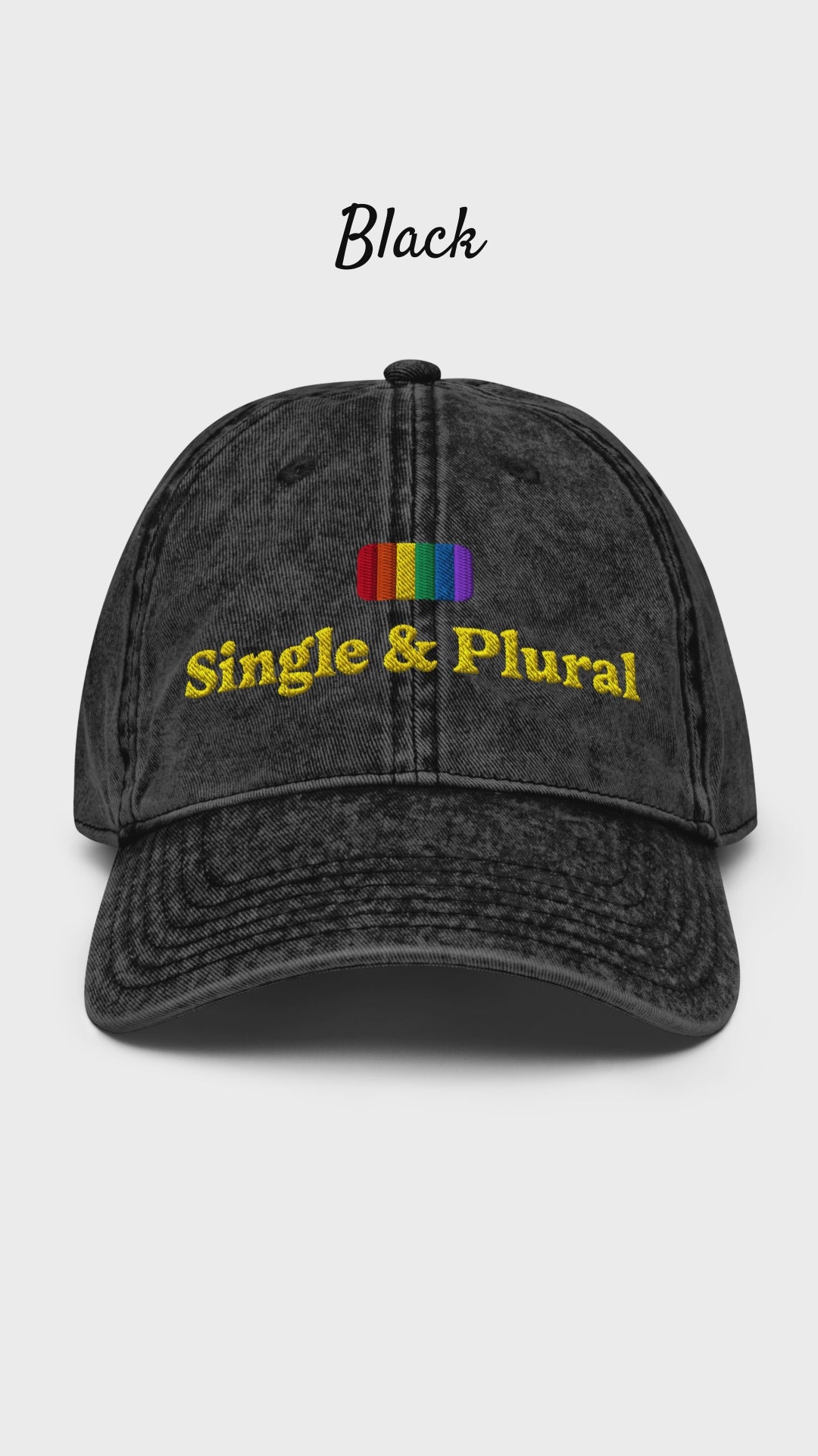 Big-Bang-Pixels-Single-Plural-Vintage-Cap
